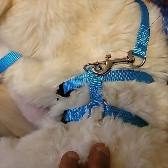 XS/SMALL Leash and Body Collar Set - Picture 2 of 5